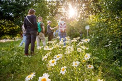 20240606_reforesttogehter_139